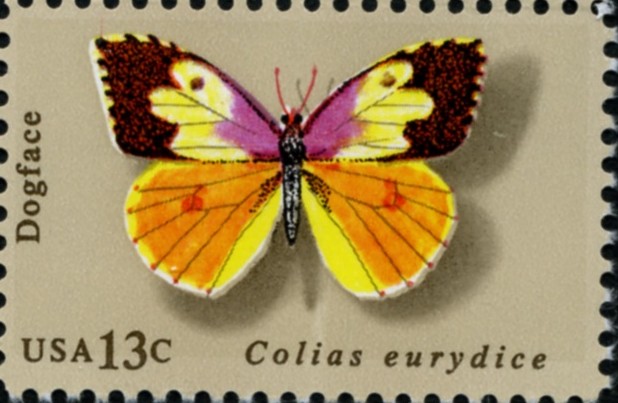 Scott 1714 13 Cent Stamp Dogface Butterfly