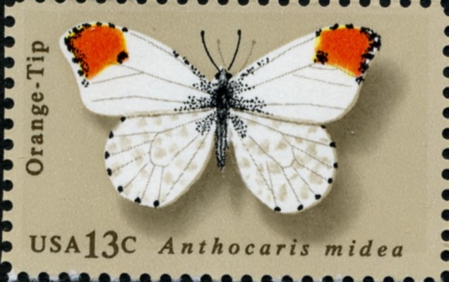 Scott 1715 13 Cent Stamp Orange Tip Butterfly
