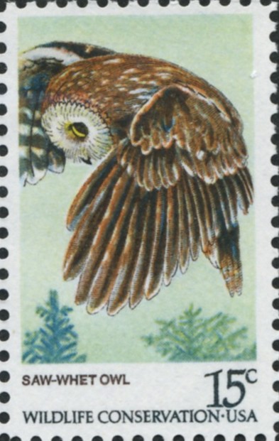 Scott 1761 15 Cent Stamp Saw Whet Owl