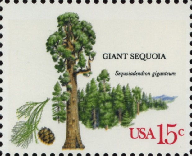 Scott 1764 15 Cent Stamp Giant Sequoia