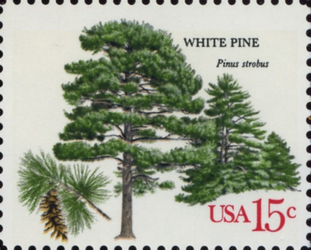 Scott 1765 15 Cent Stamp White Pine