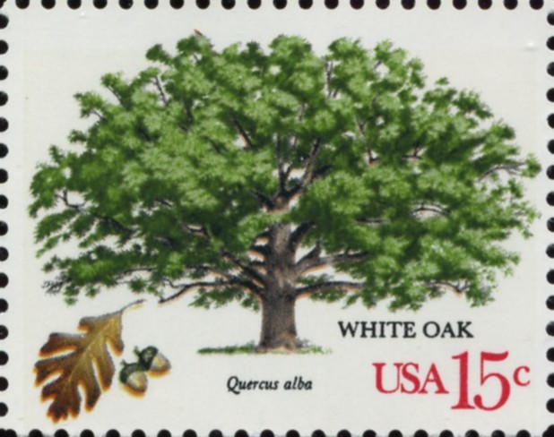 Scott 1766 15 Cent Stamp White Oak