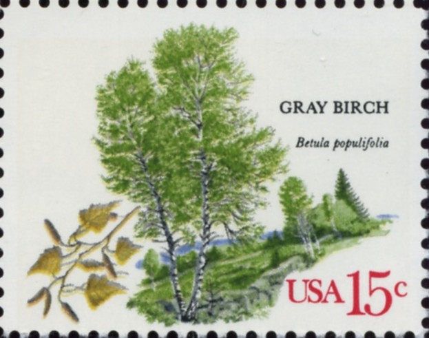 Scott 1767 15 Cent Stamp Gray Birch