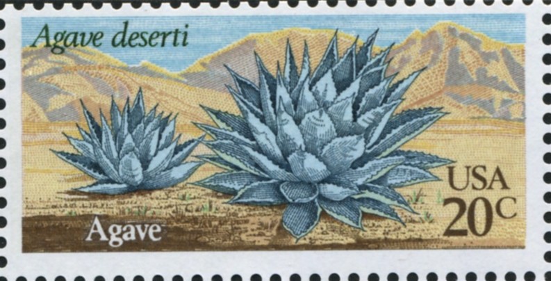 Scott 1943 20 Cent Stamp Agave