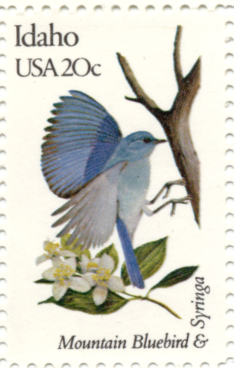Scott 1964 20 Cent Stamp State Birds and Flowers Idaho Mountain Bluebird and Syringa