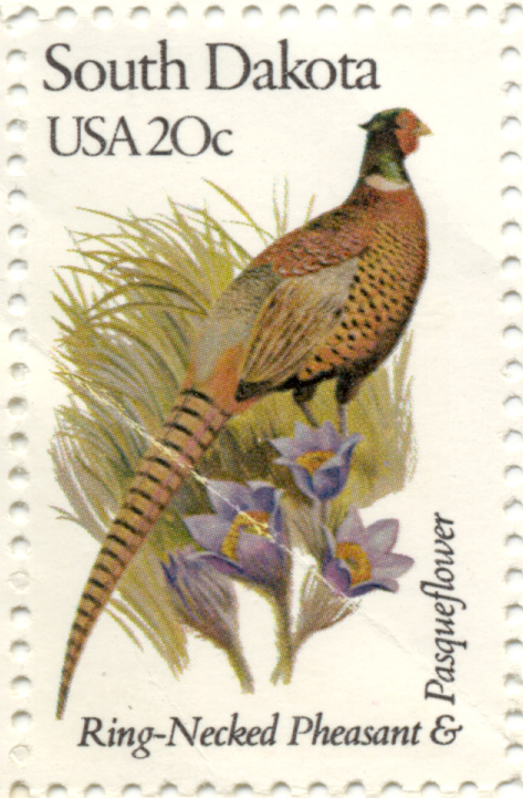 Scott 1993 20 Cent Stamp State Birds and Flowers South Dakota Ring-Necked Pheasant and Pasqueflower