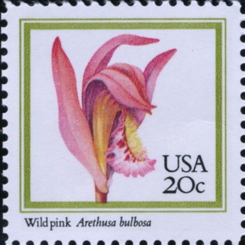Scott 2076 20 Cent Stamp Wild Pink Flower