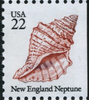 Scott 2119 22 Cent Stamp New England Neptune Seashell
