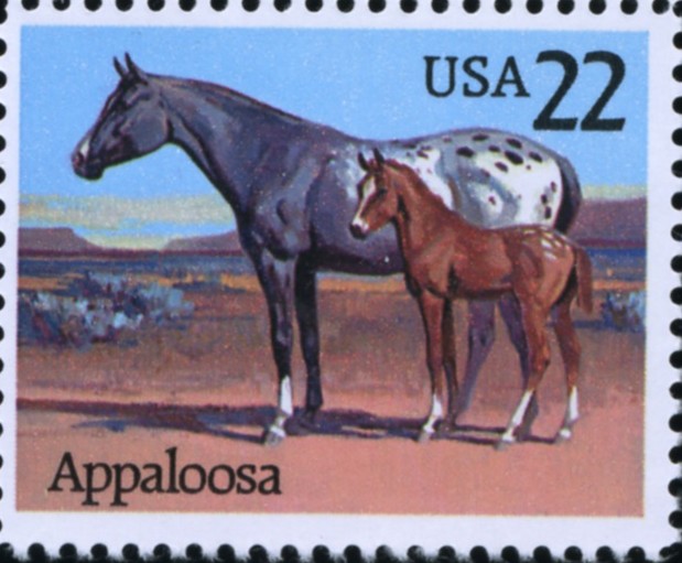 Scott 2158 22 Cent Stamp Appaloosa Horse