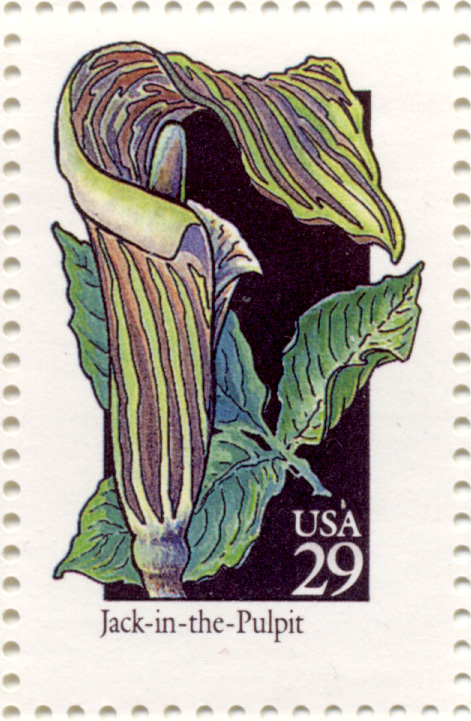 Scott 2650 Wildflowers Jack In The Pulpit 29 Cent Stamp