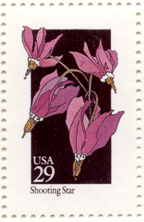 Scott 2654 Wildflowers Shooting Star 29 Cent Stamp