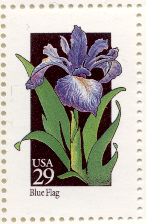 Scott 2663 Wildflowers Blue Flag 29 Cent Stamp