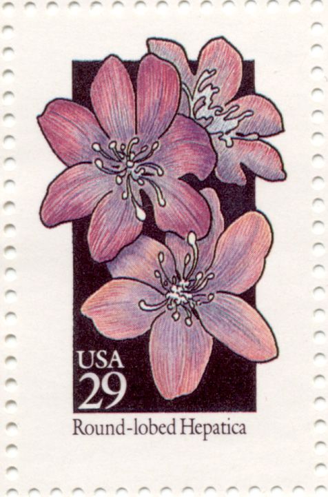 Scott 2677 Wildflowers Round Lobed Hepatica 29 Cent Stamp