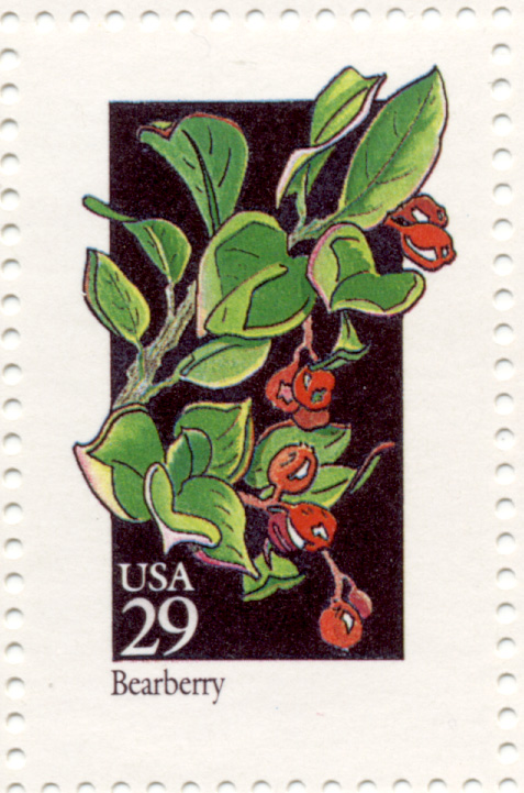 Scott 2687 Wildflowers Bearberry 29 Cent Stamp