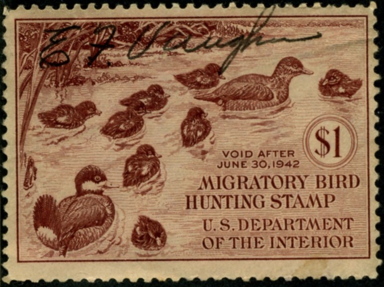 Scott RW8 1 Dollar Department of the Interior Duck Stamp Ruddy Ducks