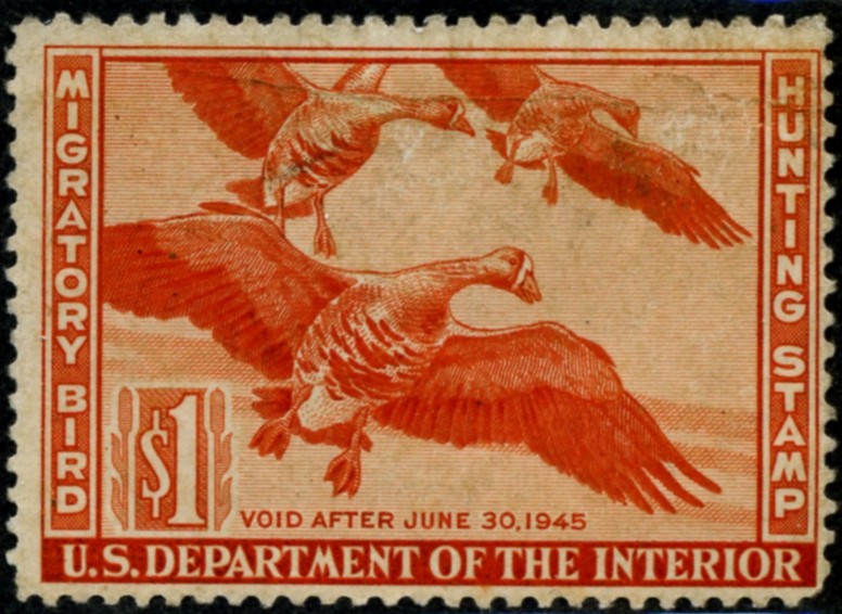 Scott RW11 1 Dollar Department of the Interior Duck Stamp White Fronted Geese