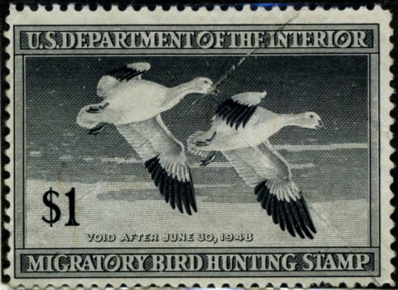 Scott RW14 1 Dollar Department of the Interior Duck Stamp Snow Geese