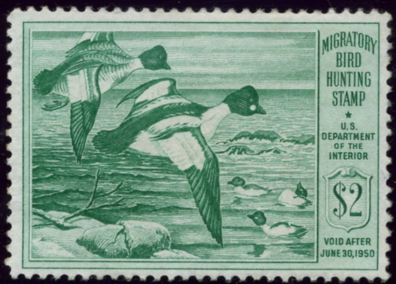 Scott RW16 2 Dollar Department of the Interior Duck Stamp Goldeneyes