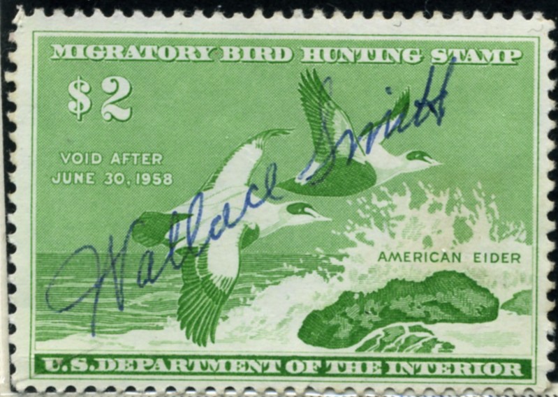 Scott RW24 2 Dollar Department of the Interior Duck Stamp American Eider
