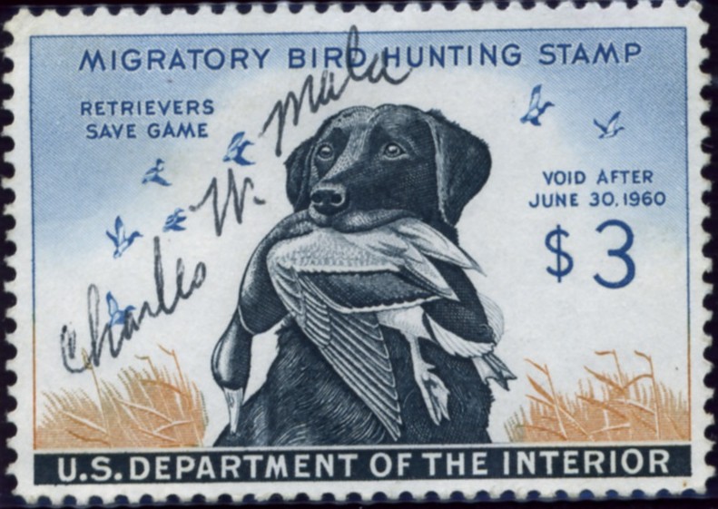 Scott RW26 3 Dollar Department of the Interior Duck Stamp Labrador Retriever