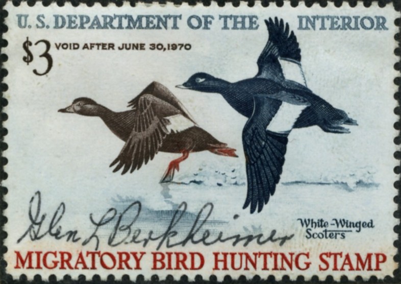 Scott RW36 3 Dollar Department of the Interior Duck Stamp White Winged Scoters