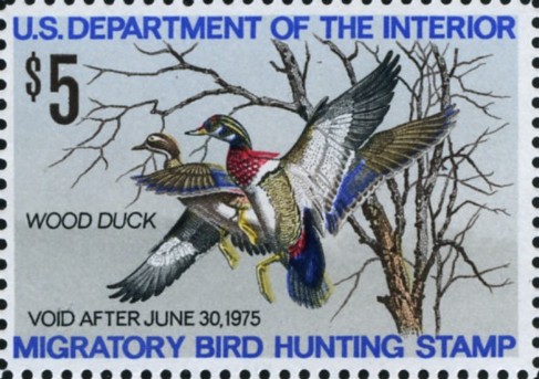 Scott RW41 5 Dollar Department of the Interior Duck Stamp Wood Duck