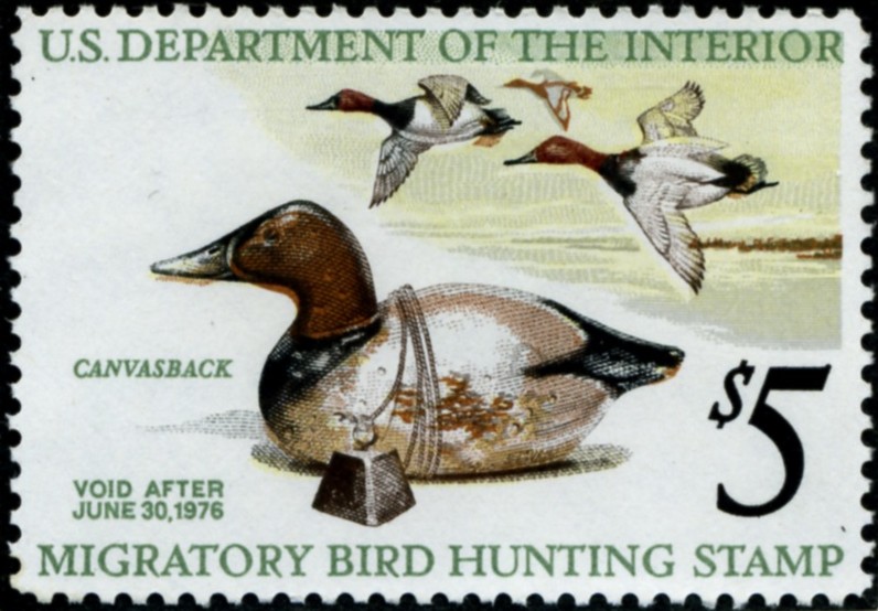 Scott RW42 5 Dollar Department of the Interior Duck Stamp Canvasbacks and Decoy