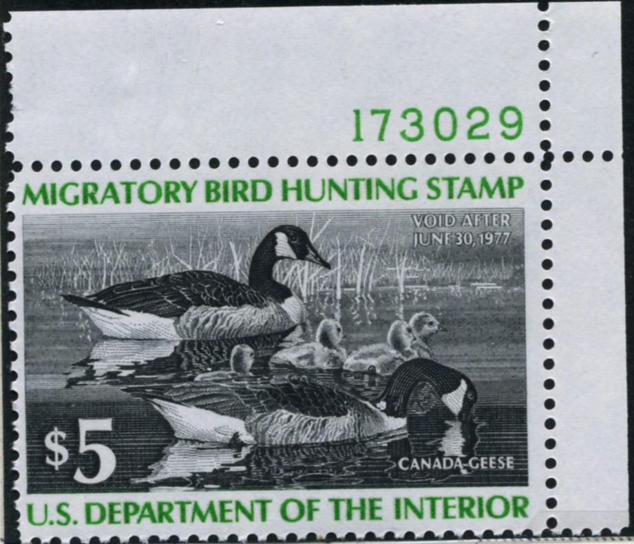 Scott RW43 5 Dollar Department of the Interior Duck Stamp Canada Geese