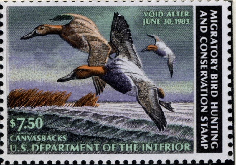 Scott RW49 7.50 Dollar Department of the Interior Duck Stamp Canvasbacks